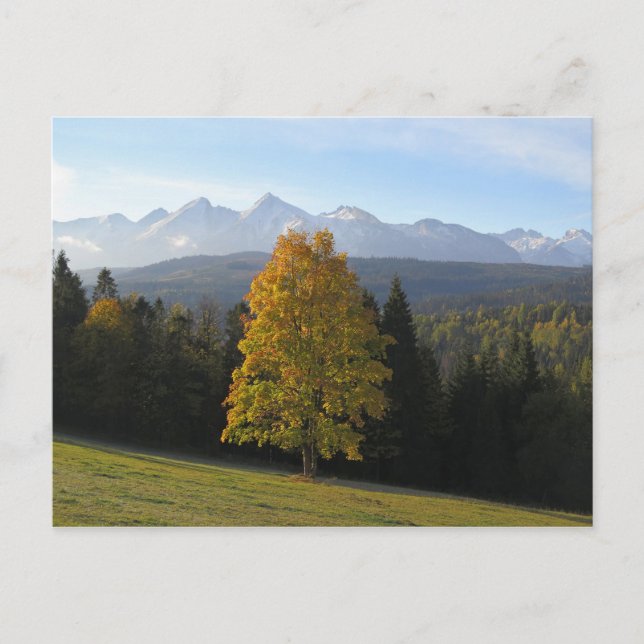 Cartão Postal Outono em Tatras Poster (Frente)