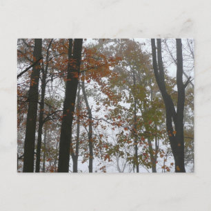 Cartão Postal Outono Nebuloso na Natureza de Outono da Pensilvân