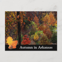 Cartão Postal Outono no Arkansas / Fotografia de Árvores da Esta
