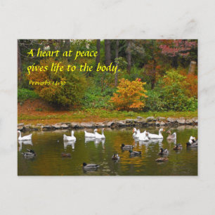 Cartão Postal Outono no Lago dos Patos