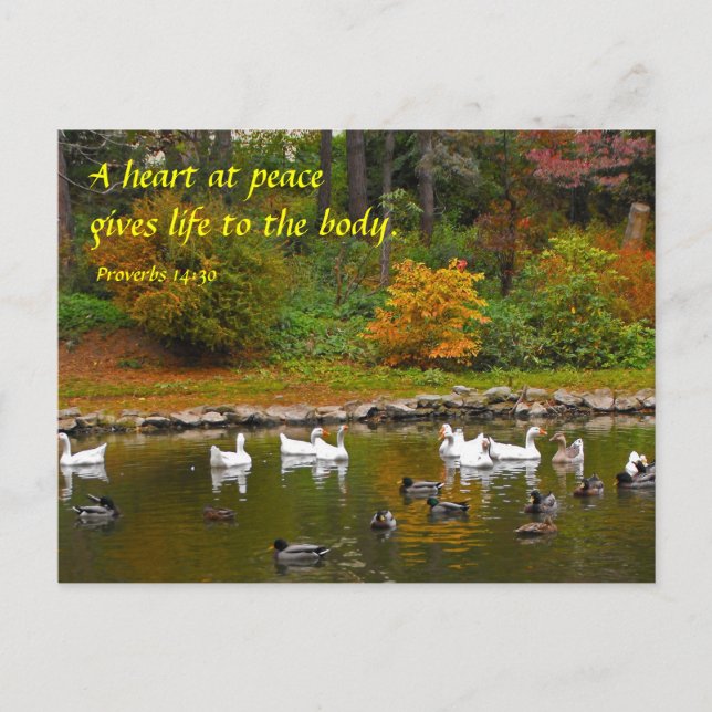 Cartão Postal Outono no Lago dos Patos (Frente)