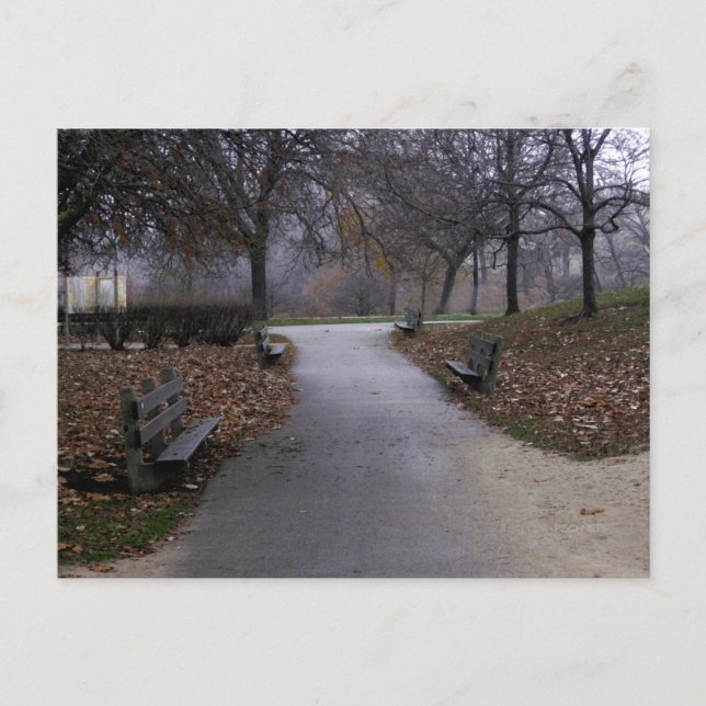Cartão Postal Outono no Parque (Frente)