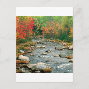 Cartão Postal Outono White Mountains New Hampshire