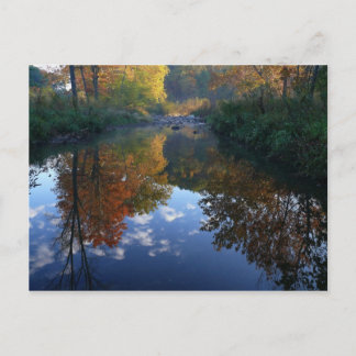 Cartão Postal outubro no córrego