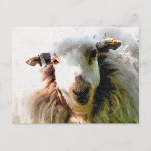 CARTÃO POSTAL OVELHA FOFINHA