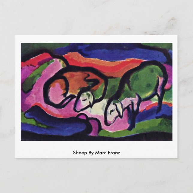 Cartão Postal Ovelha por Marc Franz (Frente)