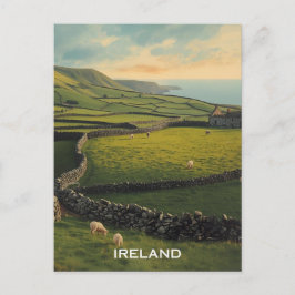 Cartão Postal Ovelhas da Irlanda