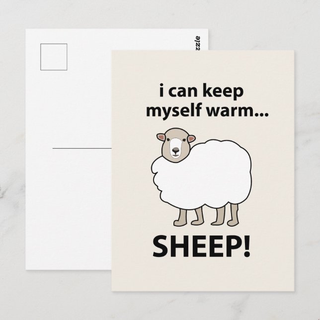 Cartão Postal Ovelhas Posso Manter-Me Aquecido Ovinos (Frente/Verso)
