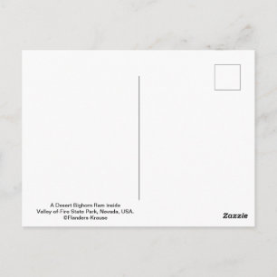 Cartão Postal Ovelino do Deserto Masculino - III