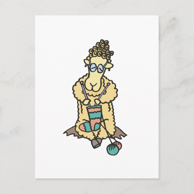 Cartão Postal Ovinos (Frente)