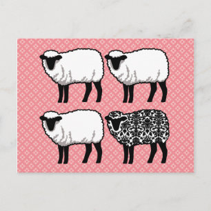 Cartão Postal Ovinos Damásticos Pretos