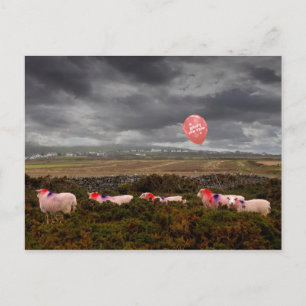 Cartão Postal Ovinos do Ano Novo