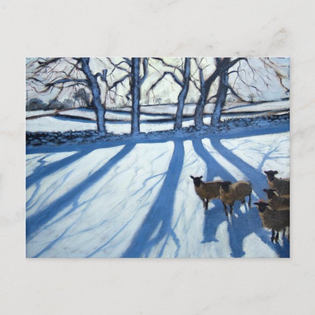 Cartão Postal Ovinos em Derbyshire na neve (Frente)