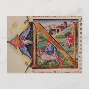 Cartão Postal Ovinos "N" iniciais historiados