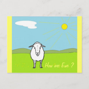 Cartão Postal Ovinos Num Campo
