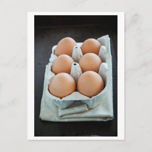 Cartão Postal Ovos (Frente)