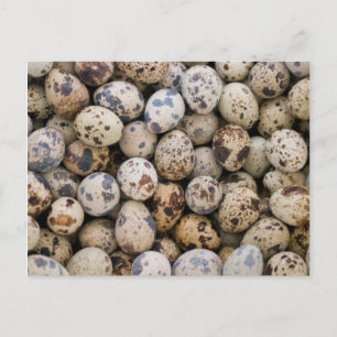 Cartão Postal Ovos de Quail, Huaraz, Cordillera Blanca, Ancash