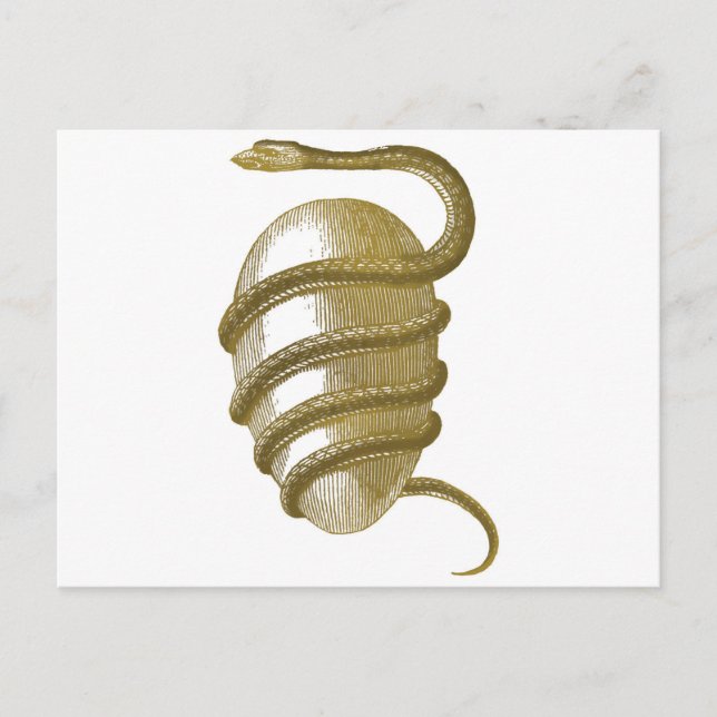 Cartão Postal Óvulo cósmico (Frente)