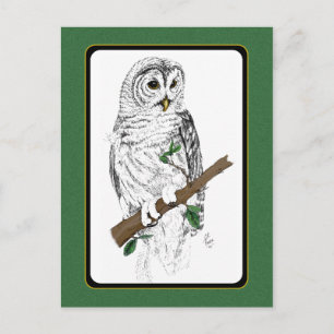 Cartão postal Owl 3
