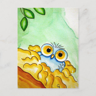 Cartão postal OWL AZUL BLUE BABY