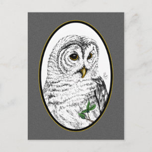 Cartão postal Owl Cameo
