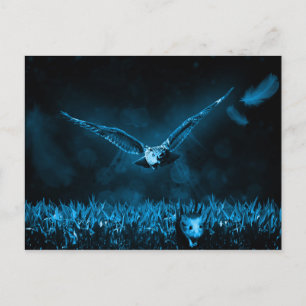 Cartão Postal Owl Hunt Fantasy Night