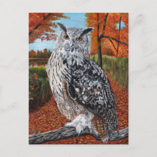 Cartão Postal Owl in Autumn forest fine art