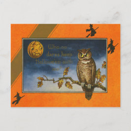 Cartão Postal Owl Jack O Lantern Pumpkin