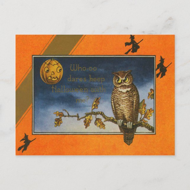 Cartão Postal Owl Jack O Lantern Pumpkin (Frente)