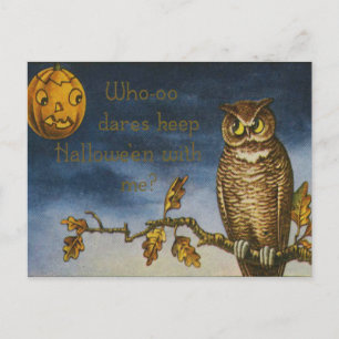 Cartão Postal Owl Jack O Lantern Pumpkin