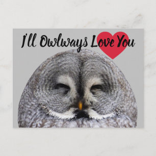Cartão Postal Owl Love Namorados