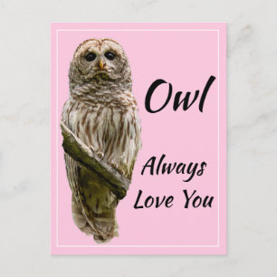 Cartão Postal Owl Sempre Te Ama