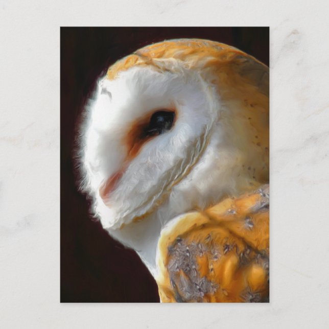 CARTÃO POSTAL OWLS (Frente)