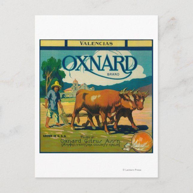 Cartão Postal Oxnard Orange LabelOxnard, CA (Frente)