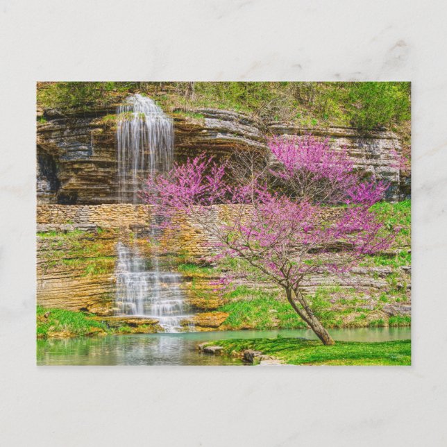 Cartão Postal Ozarks Waterfall Primavera Bluff (Frente)