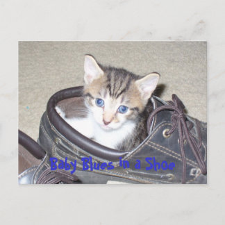 Cartão Postal P1020640_153_153, Baby Blues in a Calçado