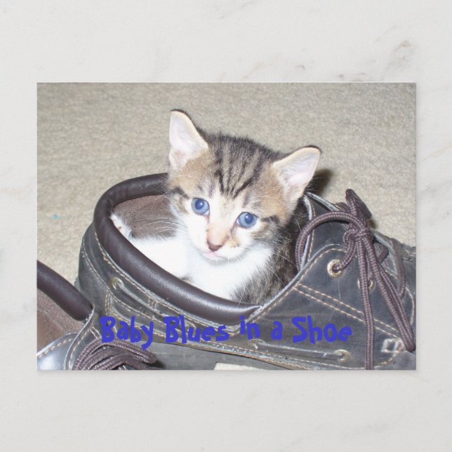 Cartão Postal P1020640_153_153, Baby Blues in a Calçado (Frente)