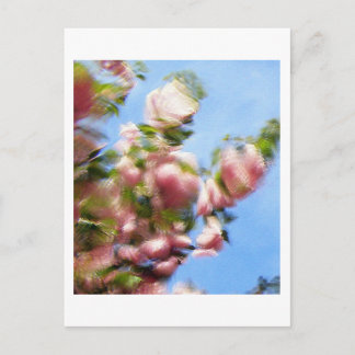 CARTÃO POSTAL P4240442