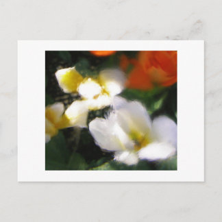 CARTÃO POSTAL P4290105