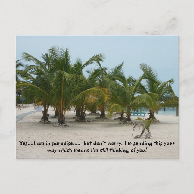 Cartão Postal P6240208, Sim...Estou no paraíso.....  mas não... (Frente)