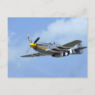 Cartão Postal P-51D Mustang, Pequeno Cavalo
