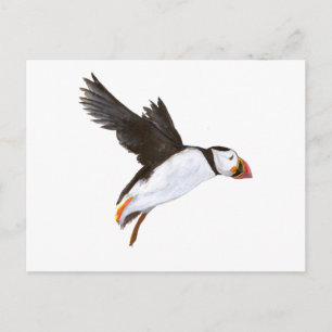 Cartão Postal P. Puffin / carte postale
