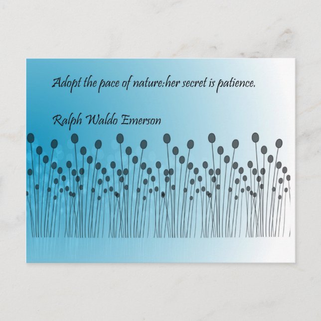 Cartão Postal Paciência (Frente)