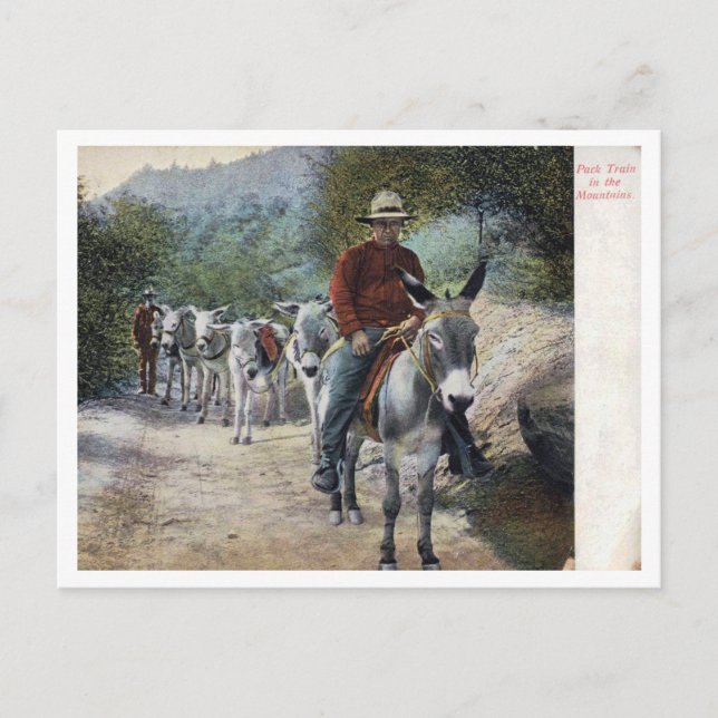 Cartão Postal Pack Train in the Mountains Vintage (Frente)