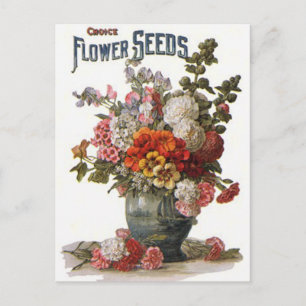 Cartão Postal Pacote Assorted vintage da semente dos anuários
