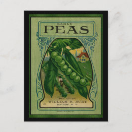 Cartão Postal Pacote De Semente De Peas Antecipadas