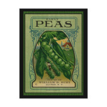 Pacote De Semente De Peas Antecipadas