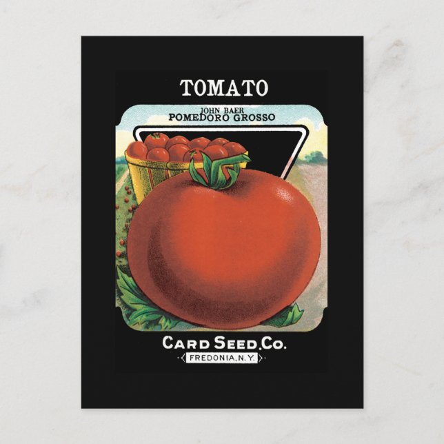 Cartão Postal Pacote de Semente de Tomato (Frente)