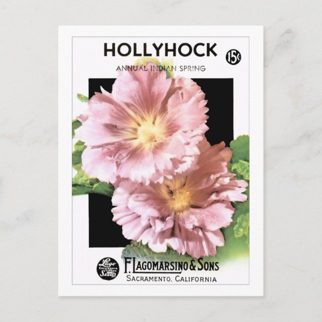 Cartão Postal Pacote de Semente Hollyhock Rosa Vintage (Frente)