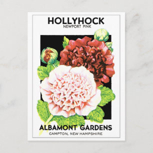 Cartão Postal Pacote de Semente Hollyhock, Vermelhos e Rosa, Inu
